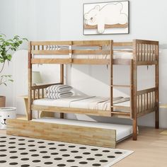 a bunk bed sitting on top of a wooden floor next to a potted plant