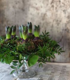 a vase filled with green plants on top of a table