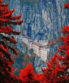 an image of a mountain side town surrounded by trees and mountains in the background with red leaves on them