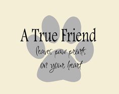 a dog's paw with the words, a true friend leaves paw prints on your heart