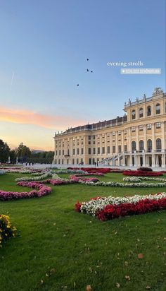 a large building with lots of flowers in front of it