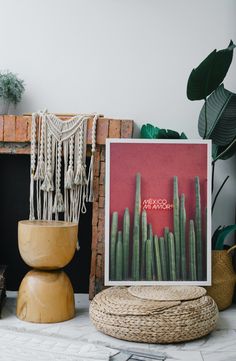 an image of a cactus plant in front of a fire place with a red sign that says succulenta on it