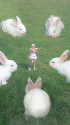 weirdcore Weirdcore Aesthetic, Weird Core, Dream Core, Dreamcore Weirdcore, The Grass, Rabbits, I Tried, Art Inspo, The Story