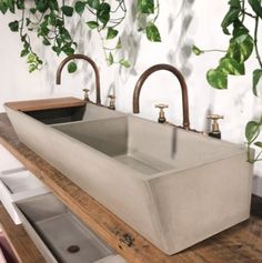 two sinks sitting on top of a wooden counter next to a plant with green leaves