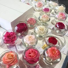 there are many small glass bowls with flowers in them