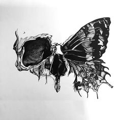 Skull Butterfly Tattoo Design, Skull Butterfly Tattoo, Butterfly Tattoo Design, Skull Butterfly, Half Skull, Irezumi Tattoos, Tattoos Skull, Butterfly Tattoo Designs, Skull Tattoo Design