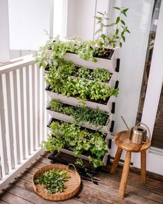 a vertical herb garden with plants growing in it