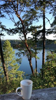 a cup of coffee sitting on top of a wooden table next to a forest filled with trees