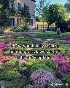 an image of a garden with flowers in the foreground and a quote on it that says pov you finally relize boring grass lawns aren't they only option