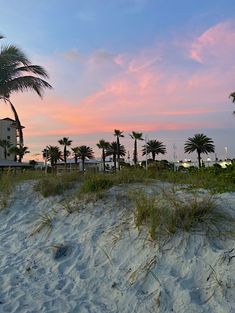 palm trees on the beach at sunset with pink clouds in the sky and buildings behind them