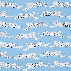 Shop 5009590 Leaping Leopards Sky Schumacher Wallpaper Preppy Blue Prints, Preppy Light Blue Wallpaper, Preppy Prints Wallpaper Blue, Leopards Wallpaper, Preppy Photo Wall, Wallpaper Schumacher, Widgets Ipad, Preppy Patterns, Preppy Background