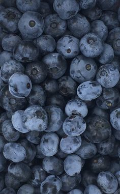 blueberries are piled up and ready to be eaten