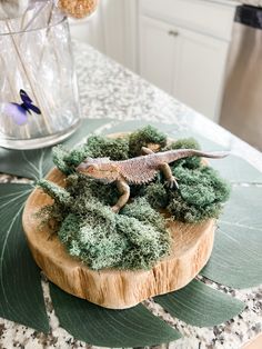 a toy lizard sitting on top of a piece of wood with moss growing on it