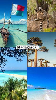 there are many different pictures with the words madagascar on them