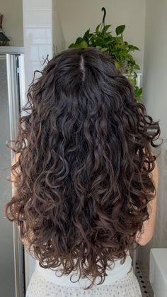 Wavy Hair Haircut Layers, 2b Hair Layers, 2c Hair Cuts With Layers, Long Layers With Curly Hair, Curly Haircuts Long Layers, Brown 2c Hair, Long Hair With Layers Curly, V Shaped Haircut With Layers Curly Hair, 2c Hair Layers