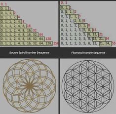 Flower Of Eternal Life, Eternal Lotus Of Life, Lotus Of Life Sacred Geometry, Eternal Life Symbol, Eternal Life Lotus, Flower Of Life Meaning, Keylontic Science, Ashayana Deane