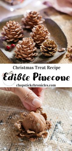 christmas treat recipe edible pine cone