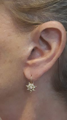 14k Gold Star Flower Earrings Gold Flower Earrings 14k | Etsy Elegant Star Charm Earrings For Anniversary, Anniversary Yellow Gold Earrings With Star Charm, Anniversary Yellow Gold Star Charm Earrings, Gold Plated Drop Flower Earrings, Elegant Yellow Gold Earrings With Star Charm, Whimsical Gold Flower-shaped Earrings, Gold Star-shaped Celestial Earrings, Vintage Gold Flower-shaped Earrings, Gold Star-shaped Earrings With Diamond Accents