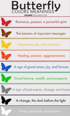 Butterfly Meaning Symbols, 5 Spiritual Meaning, Symbolism Of Butterflies, Butterfly Colors Meaning, Butterflies Meaning Spiritual, Green Butterfly Meaning