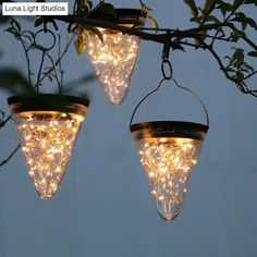 some lights are hanging from a tree branch