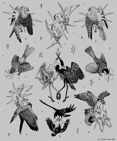 an image of birds flying around in the sky with stars on their backs and wings