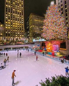 people skating on an ice rink in front of a lit christmas tree and skyscrapers