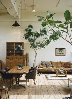 a living room filled with furniture and a tree in the middle of it's center