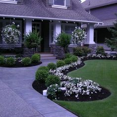 the front yard of a house with landscaping