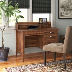 a desk with a chair and a potted plant in front of it on top of a rug