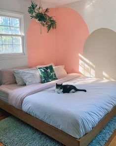 a black and white cat laying on top of a bed in a room with pink walls