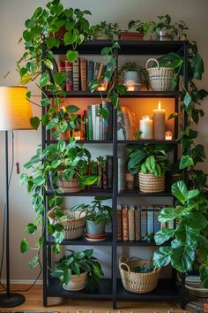 a bookshelf filled with lots of plants next to a wall mounted candle holder