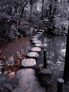 stepping stones in the middle of a stream surrounded by trees and rocks on either side