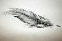 a black and white photo of a feather on a sheet of paper with the tip of it's tail sticking out