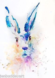 an artistic painting of a rabbit's head with blue and pink feathers on it