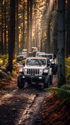 jeeps driving down a dirt road in the woods