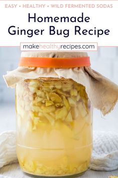 Turn your love for soda into a healthy hobby by making a ginger bug. This simple tutorial will walk you through how to make, store, and use a ginger bug to create delicious, probiotic-rich sodas. Learn the tips to keep your ginger bug happy, from daily feeding to spotting mold and fixing a non-bubbling bug. Wild Fermentation, Ginger Bug, Healthy Soda, High Protein Dinner, Homemade Soda, Plant Based Snacks, Vegan Chef, Ground Beef Dishes, Clean Eating Dinner