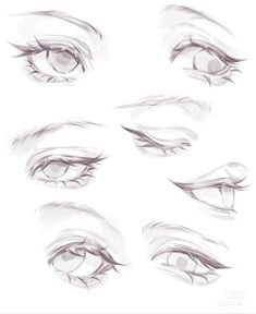 the different stages of an eye, with various angles and shapes to be used in this drawing