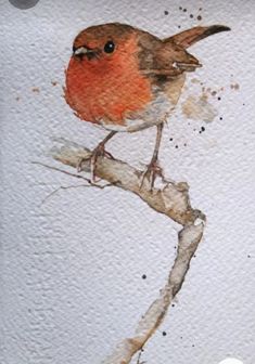 a watercolor painting of a red bird perched on a tree branch with brown spots