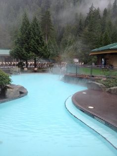 an outdoor swimming pool surrounded by trees and fog