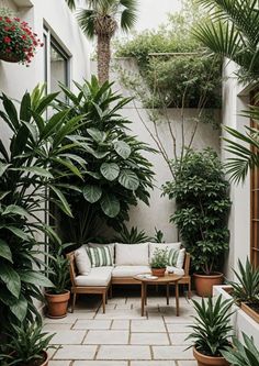 a patio with potted plants and couches in the middle, surrounded by greenery