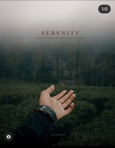 a person's hand reaching for something in the air with fog and trees behind them