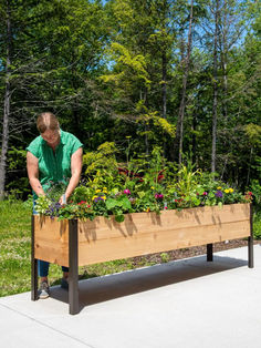 Container Landscaping, Elevated Gardening, Sensory Garden, Planting Plan, Garden Tool Set