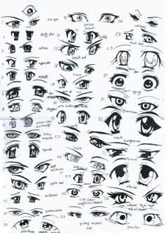 an image of various types of eyes