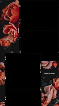 four square photos with flowers on them in black and red colors, all showing the same size