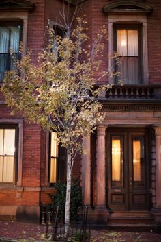 a tree in front of a brick building