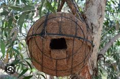 a bird feeder hanging from a tree branch