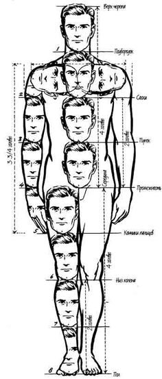 diagram of the human body with labels