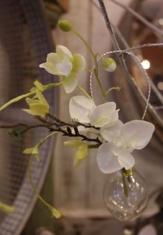 a vase with flowers in it sitting on a table