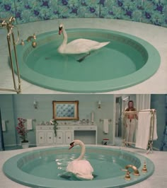 two pictures of a swan in a bath tub