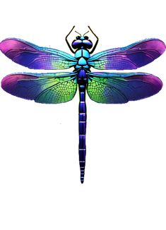 a colorful dragonfly sitting on top of a white surface